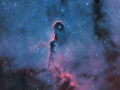 IC1396_Chad_Leader