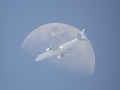 PlaneMoon_Kim_4000