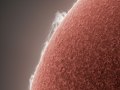 SolarProminences_Friedman_821