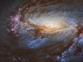 Messier 66