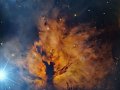 Flame_ARO_1462