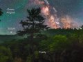 FireFlyMilkyWay_Komlev_960_annotated