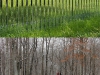 mirrored_fencing