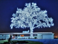 led_tree