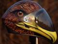 eaglehelmet