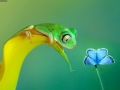 admiring_her_beauty
